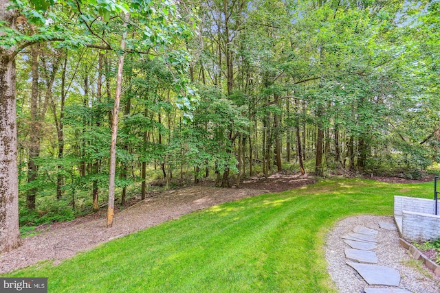 14908 Little Bennett Dr, Clarksburg, MD 20871 - view of green lawn featuring a wooded view