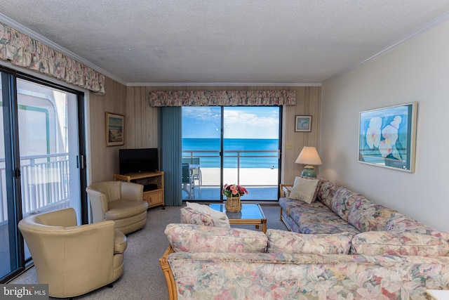 2901 Atlantic Ave Unit 404, Ocean City, MD 21842 - living area featuring ornamental molding, plenty of natural light, carpet flooring, a textured ceiling, and wooden walls