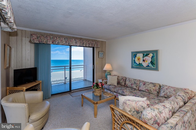 2901 Atlantic Ave Unit 404, Ocean City, MD 21842 - living area featuring ornamental molding, carpet, a textured ceiling, and wooden walls
