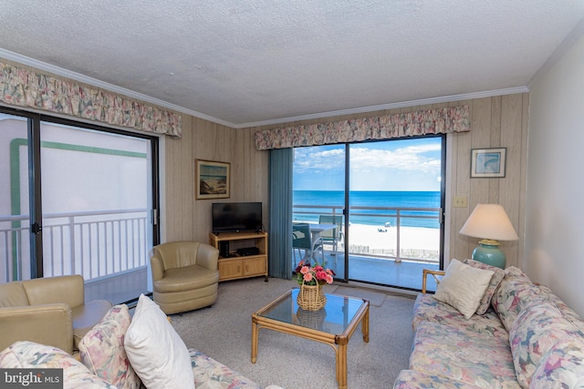 2901 Atlantic Ave Unit 404, Ocean City, MD 21842 - living area with healthy amount of natural light, ornamental molding, wooden walls, carpet floors, and a textured ceiling