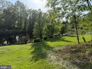 7686 Briar Ln, Pasadena, MD 21122 - view of green lawn