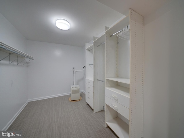 9407 7th St N, Laurel, MD 20723 - spacious closet with carpet flooring