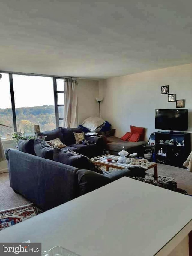 4600 Duke St Unit 1208, Alexandria, VA 22304 - view of carpeted living area