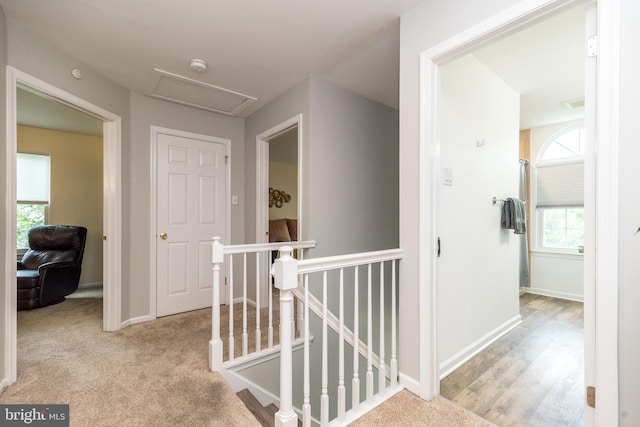 256 Rock Run Rd, Yardley, PA 19067 - hall with an upstairs landing, attic access, baseboards, and carpet floors