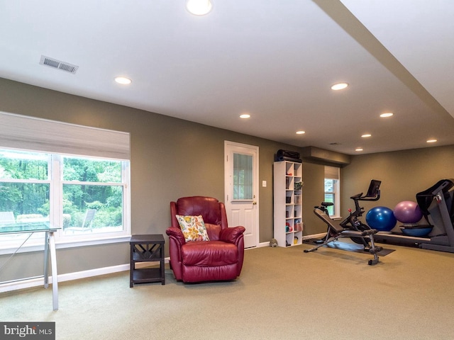 256 Rock Run Rd, Yardley, PA 19067 - workout room featuring carpet, recessed lighting, and baseboards