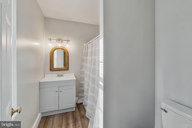 19446 Heather Ln, Orange, VA 22960 - bathroom featuring toilet, vanity, wood finished floors, and a shower with curtain