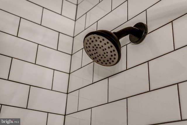 19446 Heather Ln, Orange, VA 22960 - bathroom view of tiled shower