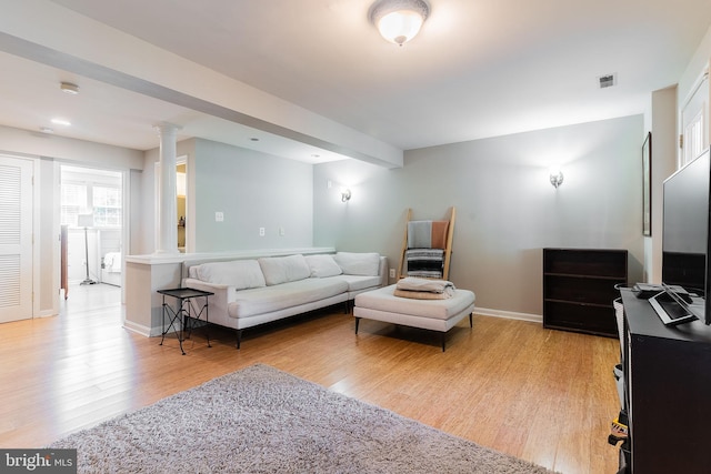 21008 Strawrick Ter, Ashburn, VA 20147 - living area with decorative columns, light wood-type flooring, and baseboards