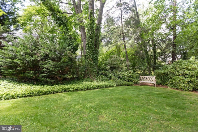 114 Bellemore Rd, Baltimore, MD 21210 - view of grassy yard