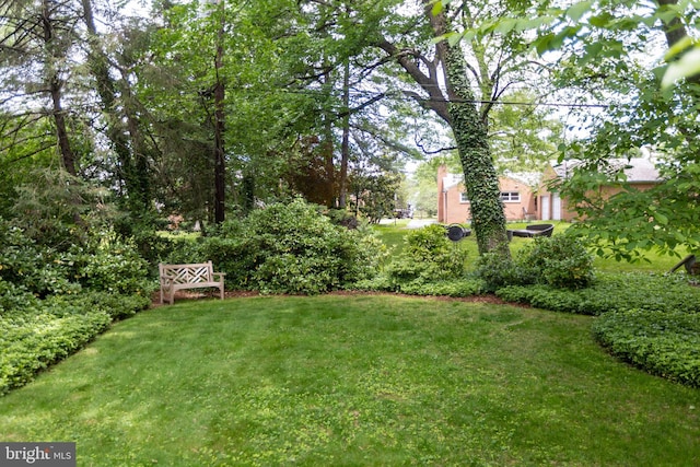 114 Bellemore Rd, Baltimore, MD 21210 - view of green lawn