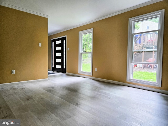 10920 Oakcrest Cir, New Market, MD 21774 - spare room featuring ornamental molding, plenty of natural light, wood finished floors, and baseboards