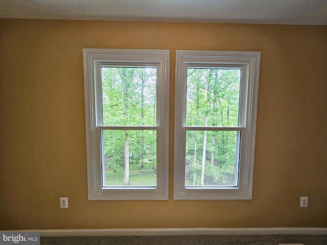 10920 Oakcrest Cir, New Market, MD 21774 - detailed view of baseboards and carpet flooring