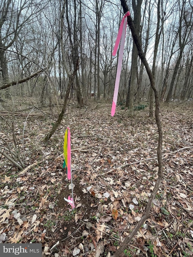Georgetown Rd, Chestertown, MD 21620