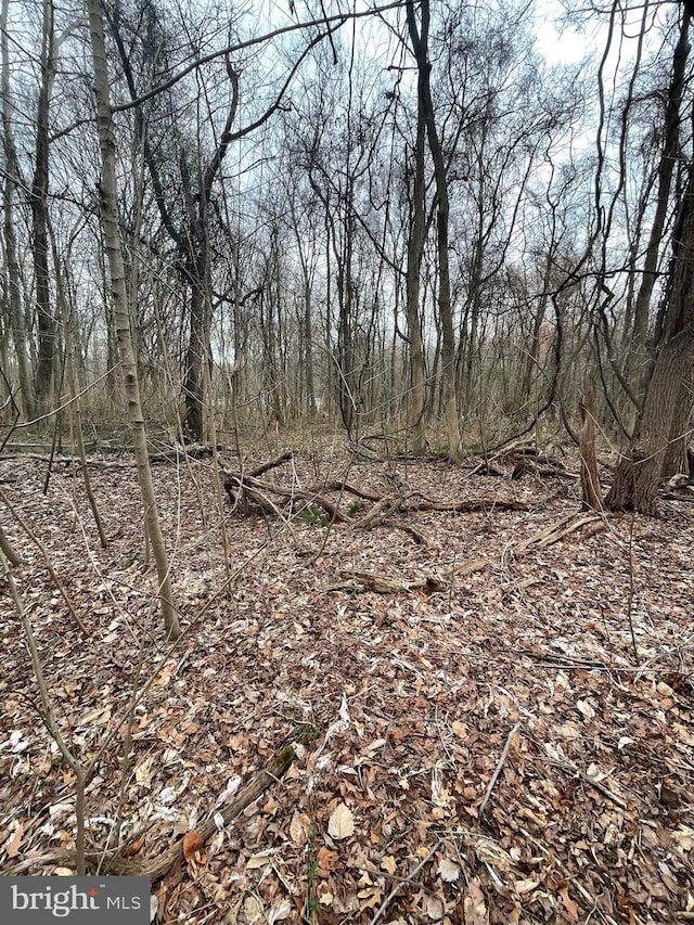 Georgetown Rd, Chestertown, MD 21620