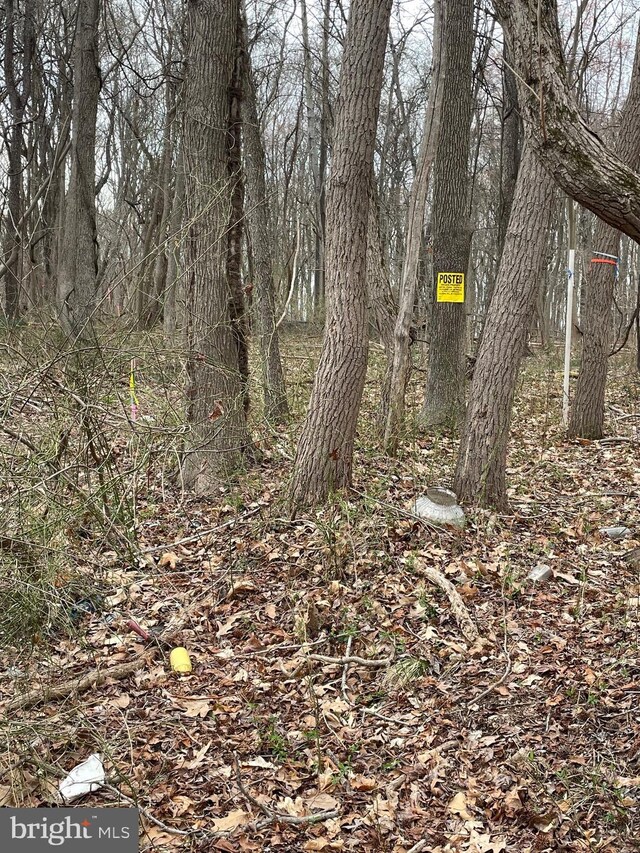 Georgetown Rd, Chestertown, MD 21620