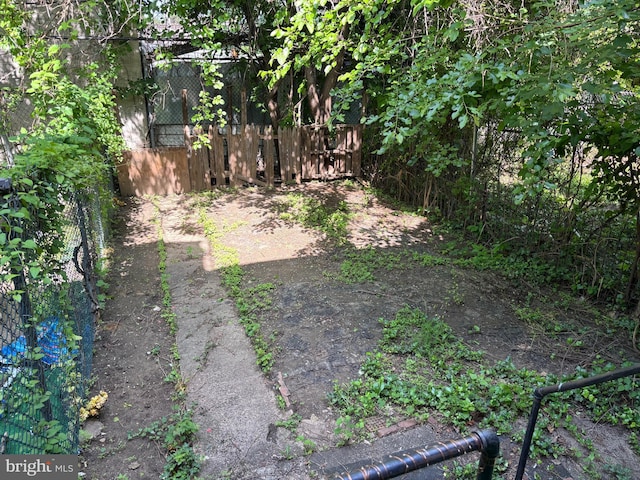 4832 N Sydenham St, Philadelphia, PA 19141 - view of yard