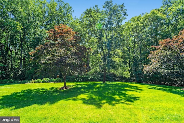 10060 Hampton Rd, Fairfax Station, VA 22039 - view of grassy yard