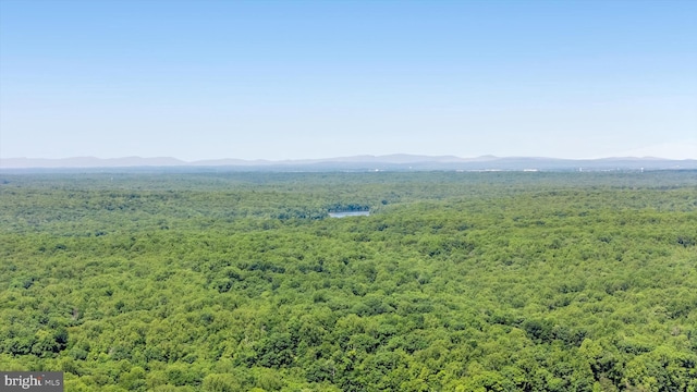 10060 Hampton Rd, Fairfax Station, VA 22039 - drone / aerial view of a forest and mountains