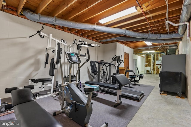 10060 Hampton Rd, Fairfax Station, VA 22039 - view of exercise area