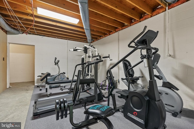 10060 Hampton Rd, Fairfax Station, VA 22039 - workout room with concrete block wall