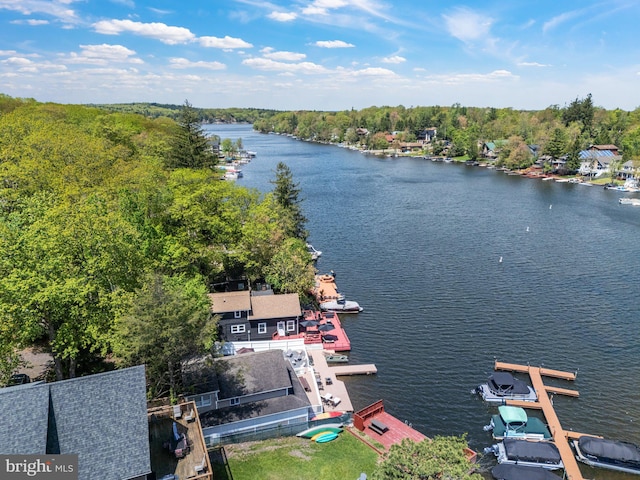 34 S Lake Dr, Lake Harmony, PA 18624 - bird's eye view of a nearby body of water