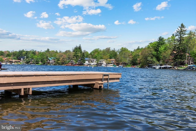 34 S Lake Dr, Lake Harmony, PA 18624 - dock featuring a water view
