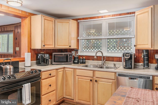 34 S Lake Dr, Lake Harmony, PA 18624 - kitchen featuring stainless steel appliances, a sink, light brown cabinets, healthy amount of natural light, and ornamental molding