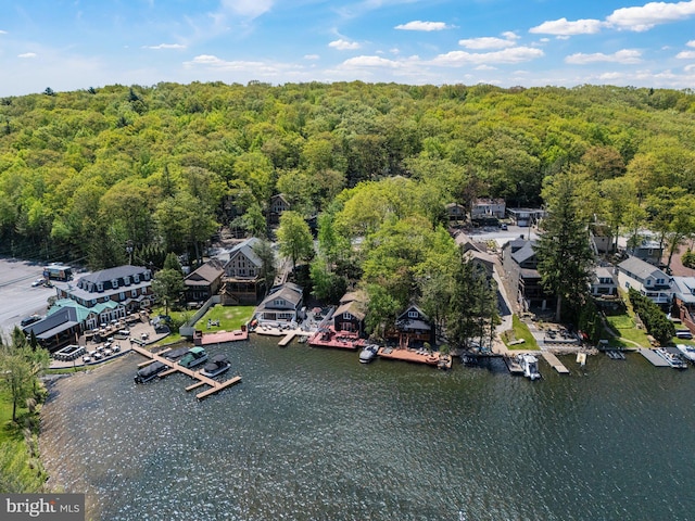34 S Lake Dr, Lake Harmony, PA 18624 - drone / aerial view of a forest and a large body of water