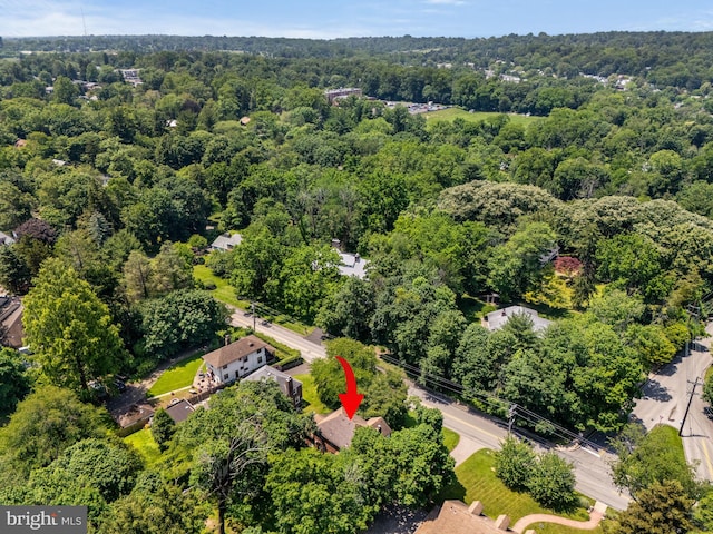 213 Rices Mill Rd, Wyncote, PA 19095 - bird's eye view of a heavily wooded area