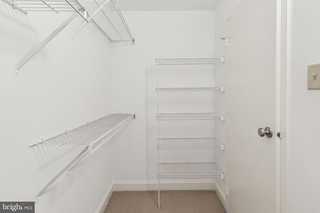 2429 Locust St Unit 504, Philadelphia, PA 19103 - spacious closet with carpet