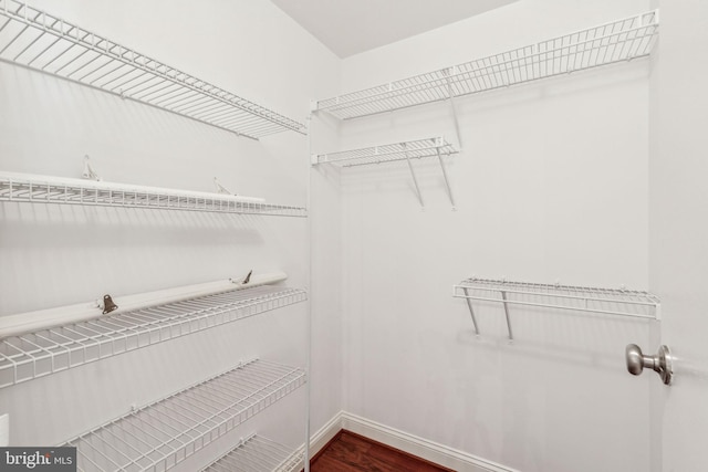 2429 Locust St Unit 504, Philadelphia, PA 19103 - walk in closet featuring dark wood-style floors