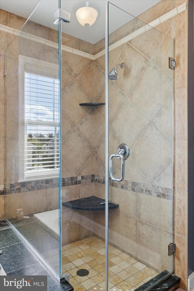 246 Honey Hollow Ln, Chalfont, PA 18914 - bathroom featuring a shower stall