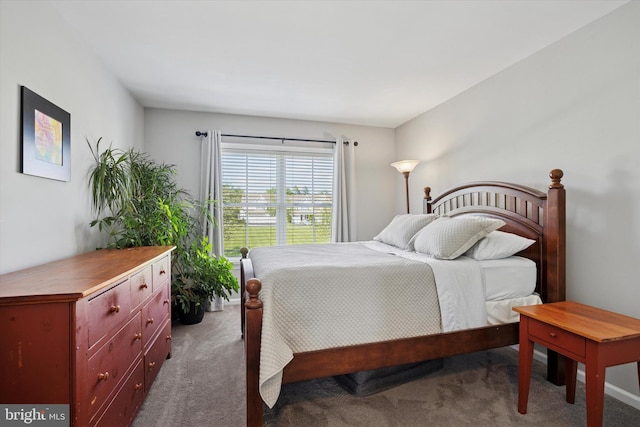 246 Honey Hollow Ln, Chalfont, PA 18914 - bedroom with dark carpet