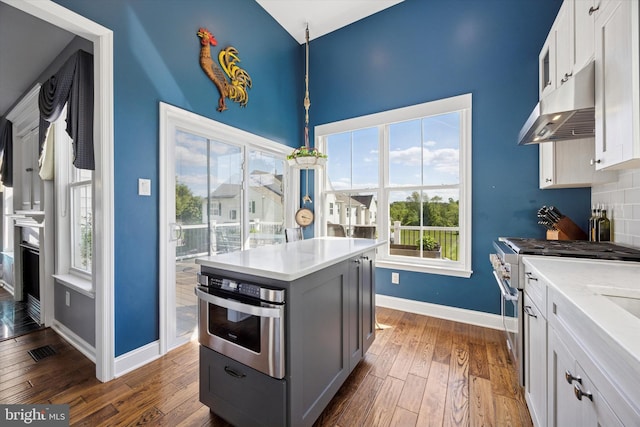 246 Honey Hollow Ln, Chalfont, PA 18914 - kitchen featuring appliances with stainless steel finishes, under cabinet range hood, dark wood-style floors, baseboards, and high vaulted ceiling