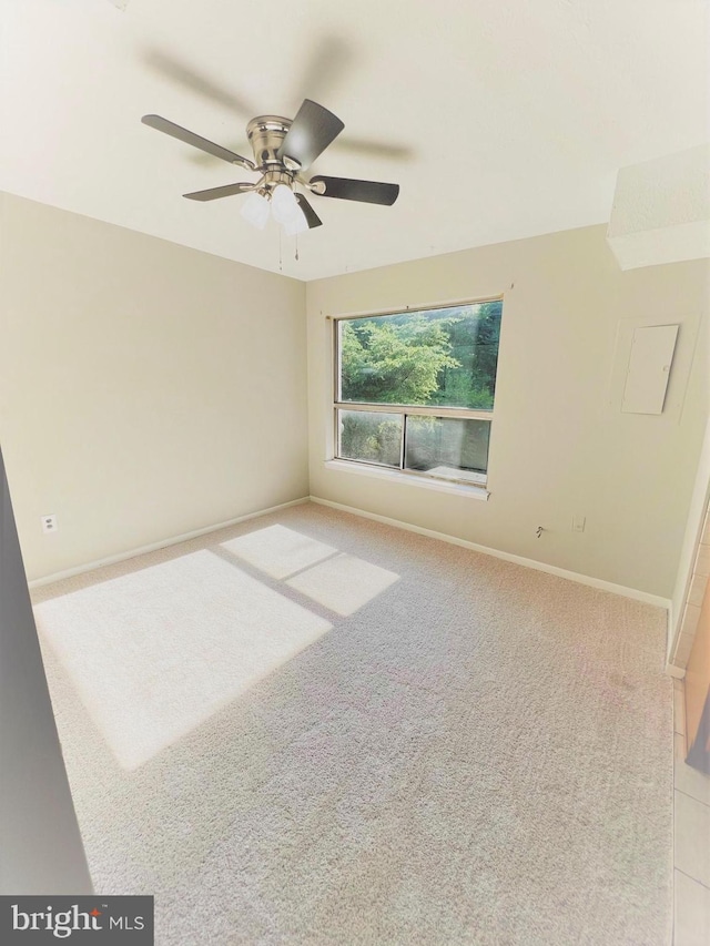 8015 Mandan Rd Unit 203, Greenbelt, MD 20770 - empty room with ceiling fan, baseboards, and carpet