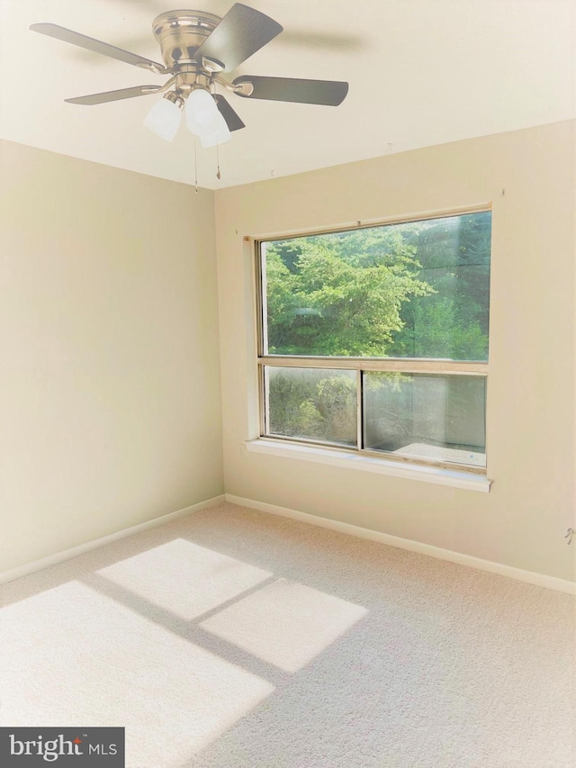 8015 Mandan Rd Unit 203, Greenbelt, MD 20770 - carpeted spare room featuring baseboards and a ceiling fan