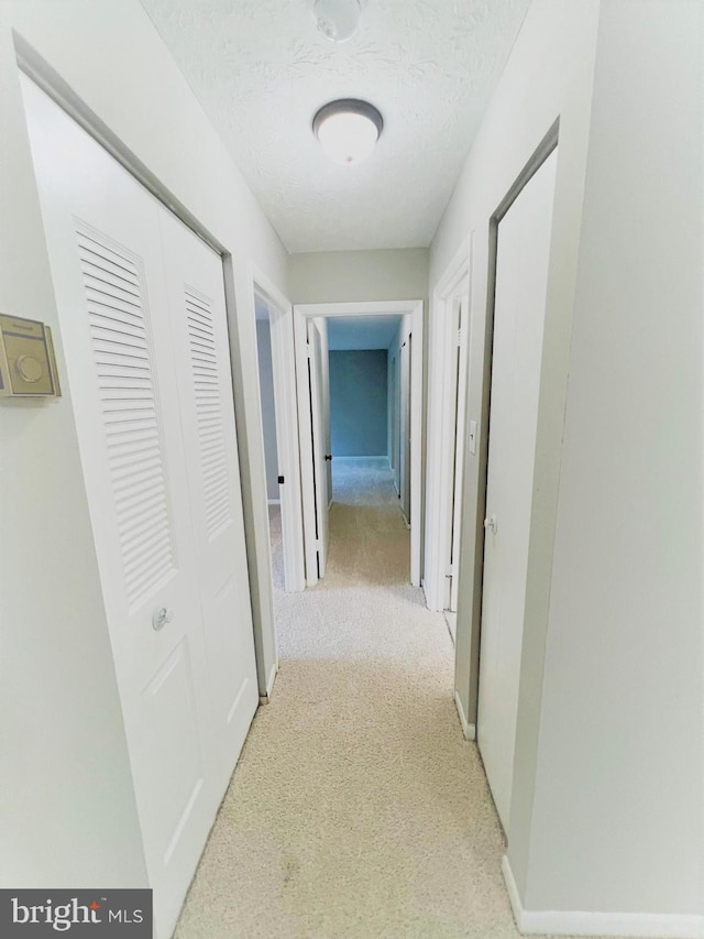 8015 Mandan Rd Unit 203, Greenbelt, MD 20770 - hallway featuring light colored carpet, baseboards, and a textured ceiling
