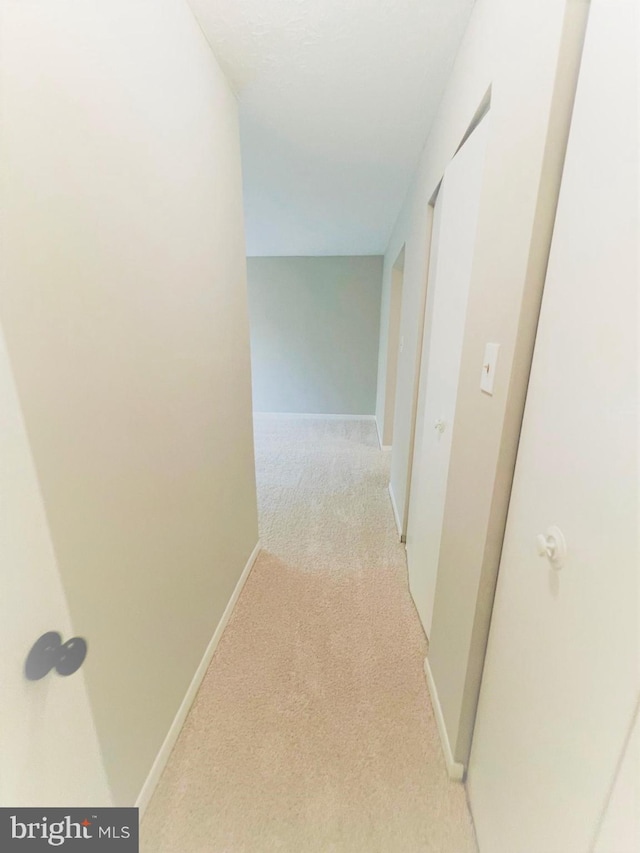 8015 Mandan Rd Unit 203, Greenbelt, MD 20770 - hall with light carpet and baseboards