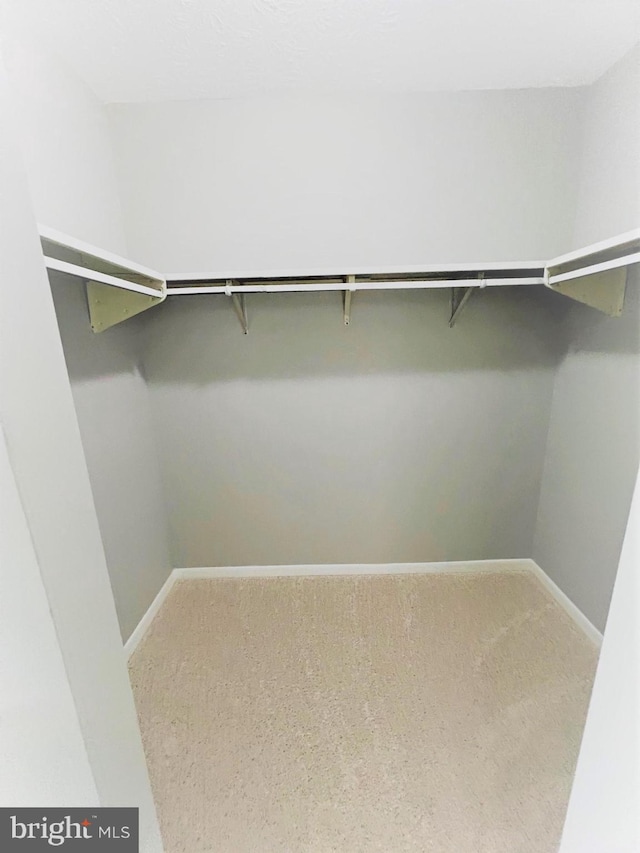8015 Mandan Rd Unit 203, Greenbelt, MD 20770 - spacious closet featuring carpet flooring
