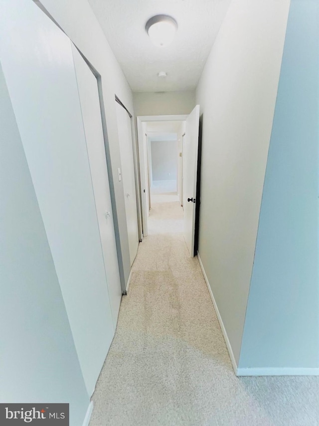 8015 Mandan Rd Unit 203, Greenbelt, MD 20770 - hallway featuring light colored carpet and baseboards