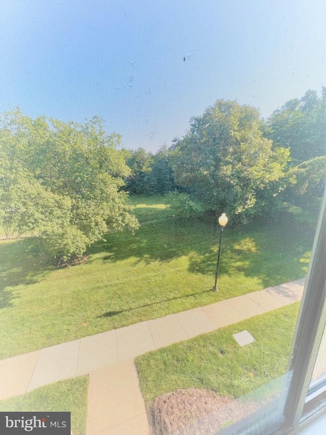 8015 Mandan Rd Unit 203, Greenbelt, MD 20770 - view of green lawn