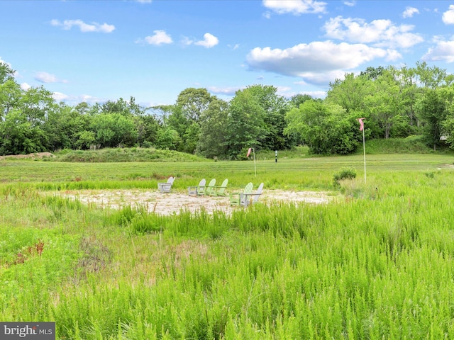24258 Zinfandel Ln Unit R303, Lewes, DE 19958 - view of undeveloped land