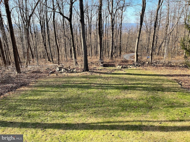 60 Woodhaven Way, Linden, VA 22642 - view of green lawn