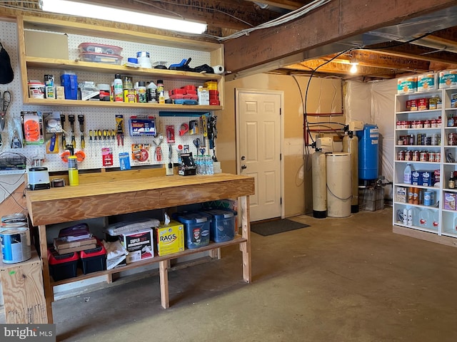 60 Woodhaven Way, Linden, VA 22642 - unfinished basement featuring a water softener, a water pressure tank, and a workshop area