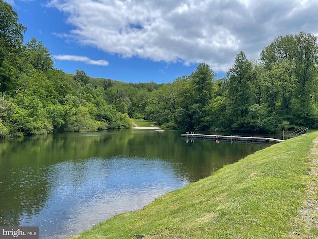 60 Woodhaven Way, Linden, VA 22642 - water view featuring a forest