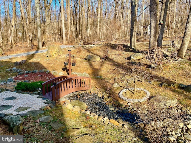 60 Woodhaven Way, Linden, VA 22642 - view of yard