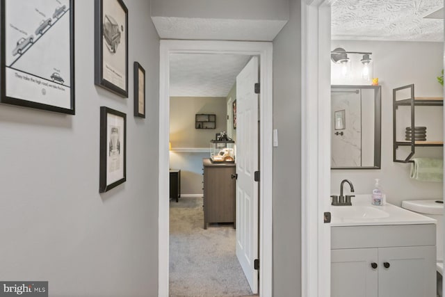 1328 Greenbriar Cir Unit 5-1328, Baltimore, MD 21208 - bathroom featuring a textured ceiling, vanity, and baseboards