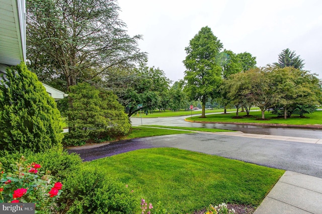 56 Zachary Dr, Chalfont, PA 18914 - view of property's community featuring a yard