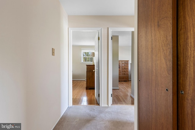 1908 Sterigere St, Eagleville, PA 19403 - hall featuring carpet and baseboards