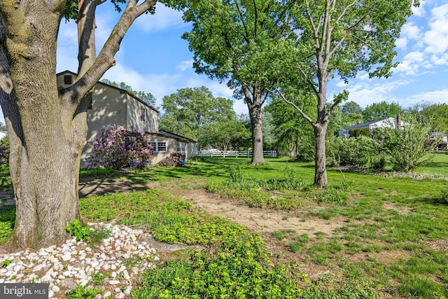 1908 Sterigere St, Eagleville, PA 19403 - view of yard